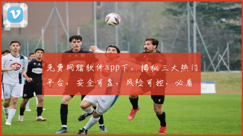 免费网赌软件app下，揭秘三大热门平台，安全可靠，风险可控，必看攻略