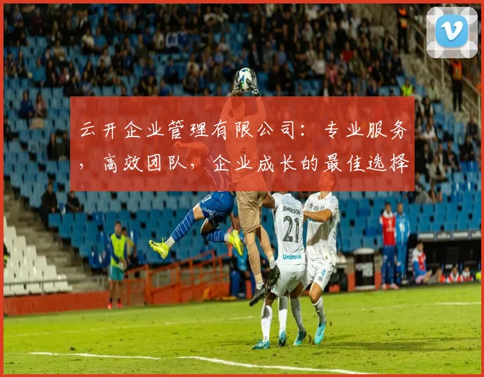 云开企业管理有限公司：专业服务，高效团队，企业成长的最佳选择，三重优势，一站解决