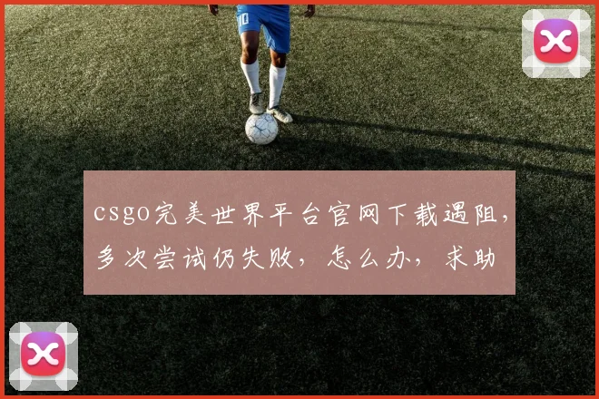 csgo完美世界平台官网下载遇阻，多次尝试仍失败，怎么办，求助