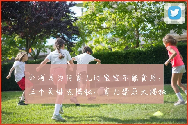 公海马为何育儿时宝宝不能食用，三个关键点揭秘，育儿禁忌大揭秘，育儿知识分享